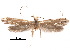  ( - CCDB-30825-E04)  @11 [ ] CreativeCommons - Attribution (2018) CBG Photography Group Centre for Biodiversity Genomics