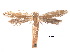  ( - CCDB-30825-E05)  @11 [ ] CreativeCommons - Attribution (2018) CBG Photography Group Centre for Biodiversity Genomics