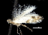  ( - CCDB-30825-F02)  @11 [ ] CreativeCommons - Attribution (2018) CBG Photography Group Centre for Biodiversity Genomics