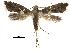  ( - CCDB-30825-H04)  @11 [ ] CreativeCommons - Attribution (2018) CBG Photography Group Centre for Biodiversity Genomics