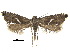  ( - CCDB-30825-H05)  @11 [ ] CreativeCommons - Attribution (2018) CBG Photography Group Centre for Biodiversity Genomics