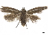  ( - CCDB-24712-B10)  @11 [ ] CreativeCommons - Attribution (2019) CBG Photography Group Centre for Biodiversity Genomics