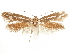  ( - CCDB-24712-B11)  @11 [ ] CreativeCommons - Attribution (2019) CBG Photography Group Centre for Biodiversity Genomics