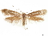  ( - CCDB-24712-B12)  @11 [ ] CreativeCommons - Attribution (2019) CBG Photography Group Centre for Biodiversity Genomics