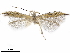 ( - CCDB-24712-C08)  @11 [ ] CreativeCommons - Attribution (2019) CBG Photography Group Centre for Biodiversity Genomics
