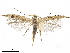  ( - CCDB-24712-C09)  @11 [ ] CreativeCommons - Attribution (2019) CBG Photography Group Centre for Biodiversity Genomics