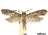  ( - CCDB-24712-F03)  @11 [ ] CreativeCommons - Attribution (2019) CBG Photography Group Centre for Biodiversity Genomics