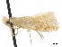  ( - CCDB-24712-G05)  @11 [ ] CreativeCommons - Attribution (2019) CBG Photography Group Centre for Biodiversity Genomics