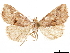  ( - CCDB-33581-D06)  @11 [ ] CreativeCommons - Attribution (2019) CBG Photography Group Centre for Biodiversity Genomics