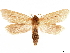  ( - CCDB-33581-H07)  @11 [ ] CreativeCommons - Attribution (2019) CBG Photography Group Centre for Biodiversity Genomics