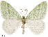  ( - CCDB-33582-E12)  @11 [ ] CreativeCommons - Attribution (2019) CBG Photography Group Centre for Biodiversity Genomics