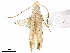  ( - CCDB-33584-A04)  @11 [ ] CreativeCommons - Attribution (2019) CBG Photography Group Centre for Biodiversity Genomics