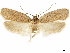  ( - CCDB-33584-G10)  @11 [ ] CreativeCommons - Attribution (2019) CBG Photography Group Centre for Biodiversity Genomics