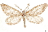  ( - CCDB-33585-C10)  @11 [ ] CreativeCommons - Attribution (2019) CBG Photography Group Centre for Biodiversity Genomics