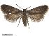  ( - CCDB-33586-E05)  @11 [ ] CreativeCommons - Attribution (2019) CBG Photography Group Centre for Biodiversity Genomics