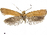  ( - CCDB-33586-E10)  @11 [ ] CreativeCommons - Attribution (2019) CBG Photography Group Centre for Biodiversity Genomics