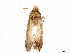  ( - CCDB-33587-B08)  @11 [ ] CreativeCommons - Attribution (2019) CBG Photography Group Centre for Biodiversity Genomics
