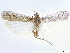 ( - CCDB-33587-C04)  @11 [ ] CreativeCommons - Attribution (2019) CBG Photography Group Centre for Biodiversity Genomics