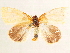  ( - CCDB-33587-G02)  @11 [ ] CreativeCommons - Attribution (2019) CBG Photography Group Centre for Biodiversity Genomics