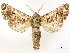  ( - CCDB-33589-A04)  @11 [ ] CreativeCommons - Attribution (2019) CBG Photography Group Centre for Biodiversity Genomics