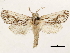  ( - CCDB-33589-B02)  @11 [ ] CreativeCommons - Attribution (2019) CBG Photography Group Centre for Biodiversity Genomics