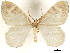  ( - CCDB-33597-F12)  @11 [ ] CreativeCommons - Attribution (2019) CBG Photography Group Centre for Biodiversity Genomics