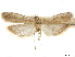  ( - CCDB-33977-A10)  @11 [ ] CreativeCommons - Attribution (2019) CBG Photography Group Centre for Biodiversity Genomics