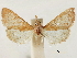  ( - CCDB-33977-H07)  @11 [ ] CreativeCommons - Attribution (2019) CBG Photography Group Centre for Biodiversity Genomics