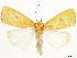  ( - CCDB-33978-C08)  @11 [ ] CreativeCommons - Attribution (2020) CBG Photography Group Centre for Biodiversity Genomics