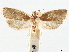  ( - CCDB-33979-B07)  @11 [ ] CreativeCommons - Attribution (2020) CBG Photography Group Centre for Biodiversity Genomics