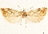  ( - CCDB-33979-G09)  @11 [ ] CreativeCommons - Attribution (2020) CBG Photography Group Centre for Biodiversity Genomics