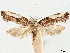  ( - CCDB-33980-C12)  @11 [ ] CreativeCommons - Attribution (2020) CBG Photography Group Centre for Biodiversity Genomics