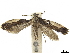 ( - CCDB-33980-D01)  @11 [ ] CreativeCommons - Attribution (2020) CBG Photography Group Centre for Biodiversity Genomics