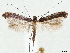  ( - CCDB-33980-F01)  @11 [ ] CreativeCommons - Attribution (2020) CBG Photography Group Centre for Biodiversity Genomics