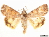  ( - CCDB-34076-C07)  @11 [ ] CreativeCommons - Attribution (2019) CBG Photography Group Centre for Biodiversity Genomics