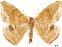  ( - CCDB-34076-H03)  @11 [ ] CreativeCommons - Attribution (2019) CBG Photography Group Centre for Biodiversity Genomics