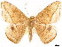  ( - CCDB-34076-H04)  @11 [ ] CreativeCommons - Attribution (2019) CBG Photography Group Centre for Biodiversity Genomics