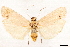  ( - CCDB-34076-H06)  @11 [ ] CreativeCommons - Attribution (2019) CBG Photography Group Centre for Biodiversity Genomics