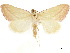  ( - CCDB-34726-B08)  @11 [ ] CreativeCommons - Attribution (2020) CBG Photography Group Centre for Biodiversity Genomics