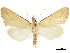  ( - CCDB-34726-B09)  @11 [ ] CreativeCommons - Attribution (2020) CBG Photography Group Centre for Biodiversity Genomics