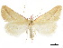  ( - CCDB-34726-B10)  @11 [ ] CreativeCommons - Attribution (2020) CBG Photography Group Centre for Biodiversity Genomics