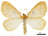  ( - CCDB-34726-G04)  @11 [ ] CreativeCommons - Attribution (2019) CBG Photography Group Centre for Biodiversity Genomics