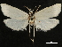  ( - CCDB-34786-E11)  @11 [ ] CreativeCommons - Attribution (2019) CBG Photography Group Centre for Biodiversity Genomics