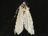  ( - CCDB-34786-F01)  @11 [ ] CreativeCommons - Attribution (2019) CBG Photography Group Centre for Biodiversity Genomics