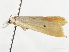  ( - CCDB-34786-F03)  @11 [ ] CreativeCommons - Attribution (2019) CBG Photography Group Centre for Biodiversity Genomics