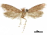  ( - CCDB-34787-D07)  @11 [ ] CreativeCommons - Attribution (2020) CBG Photography Group Centre for Biodiversity Genomics