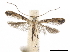  ( - CCDB-34789-B10)  @11 [ ] CreativeCommons - Attribution (2020) CBG Photography Group Centre for Biodiversity Genomics