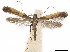  ( - CCDB-34789-D05)  @11 [ ] CreativeCommons - Attribution (2020) CBG Photography Group Centre for Biodiversity Genomics