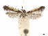  ( - CCDB-34789-D08)  @11 [ ] CreativeCommons - Attribution (2020) CBG Photography Group Centre for Biodiversity Genomics