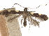 ( - CCDB-34789-E05)  @11 [ ] CreativeCommons - Attribution (2020) CBG Photography Group Centre for Biodiversity Genomics